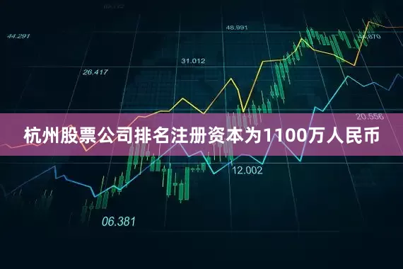 杭州股票公司排名注册资本为1100万人民币
