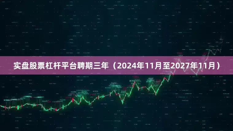 实盘股票杠杆平台聘期三年（2024年11月至2027年11月）